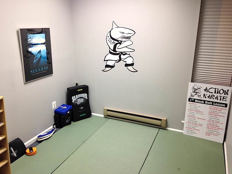 Private Martial Arts Lessons at Action Karate Plymouth