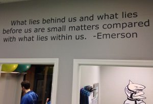 Quote on the wall at Action Karate Plymouth
